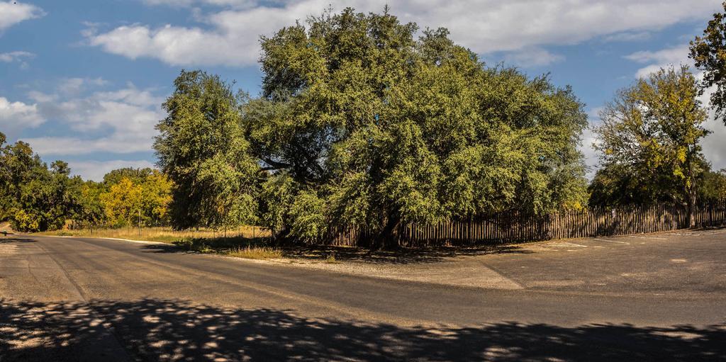Cypress Fairway Village Wimberley Esterno foto